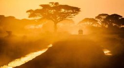 At least 10 Christians killed in DRC attack