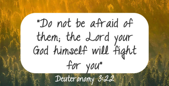 Who Will Fight For You